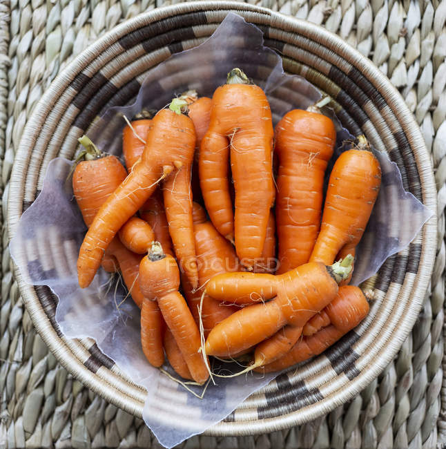Cesta tejida llena de zanahorias frescas; Estudio - foto de stock