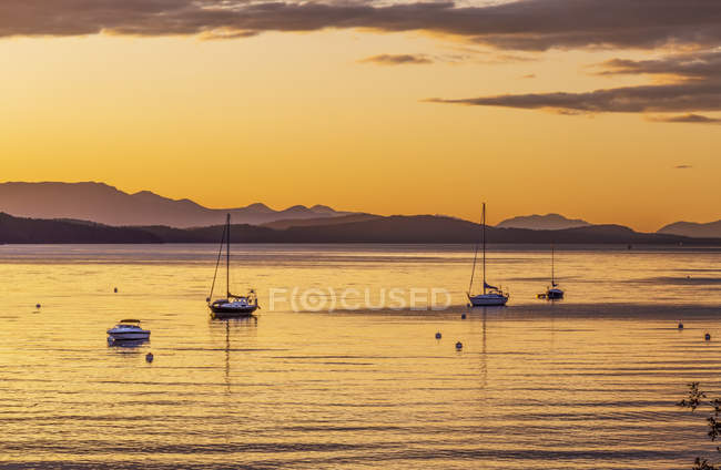 Sailboats moored at sunset with the golden sunlight reflecting on the tranquil water and a silhouetted coastline; Mayne Island, Gulf Islands, BC, Canada — Stock Photo