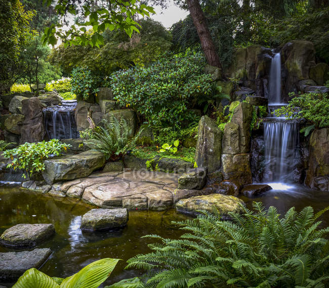 Cascate e fogliame lussureggiante in un giardino residenziale paesaggistico; Surrey, British Columbia, Canada — Foto stock