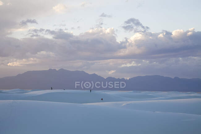 Люди, які грають на дюнах у Національному пам'ятнику Вайт-Сендс; Аламогордо, Нью-Мексико, США — стокове фото