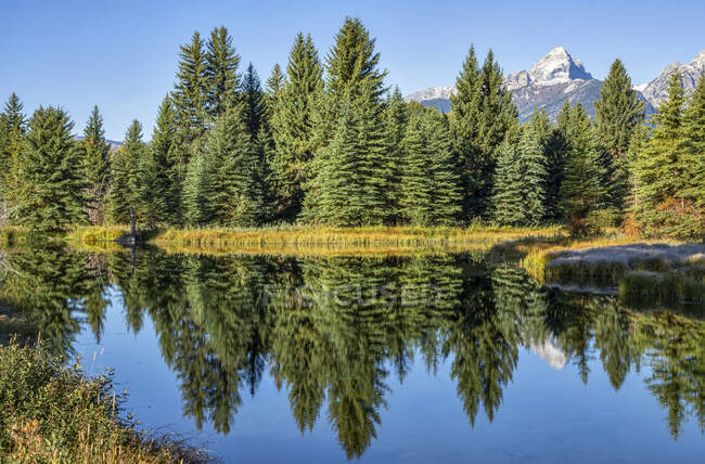 Parque Nacional de Grand Teton; Wyoming, Estados Unidos da América — Fotografia de Stock