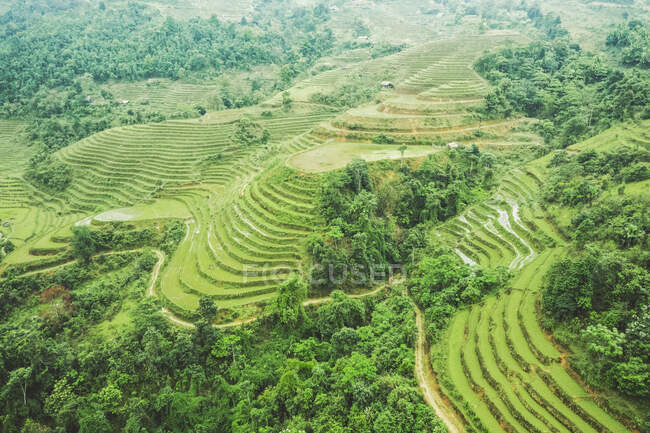 Vista drone de terraços de arroz na encosta exuberante da montanha; Ha Giang Province, Vietnã — Fotografia de Stock