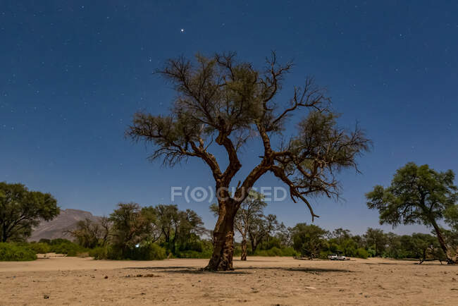 Дамараленд; регион Кунене, Намибия — стоковое фото