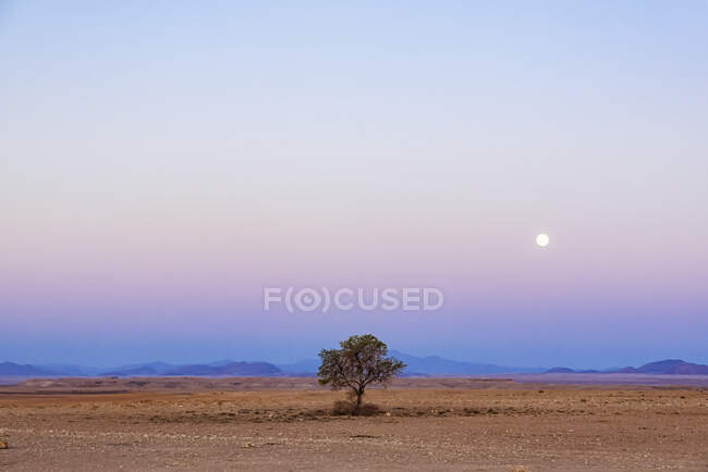 Pleine Lune à Aluvlei, Namib-Naukluft National Park ; Namibie — Photo de stock