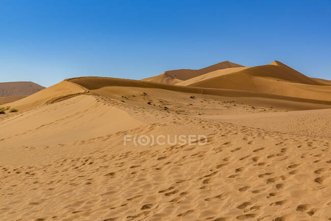 Scenic view of dead landscape of Namib Desert; Namibia — Stock Photo