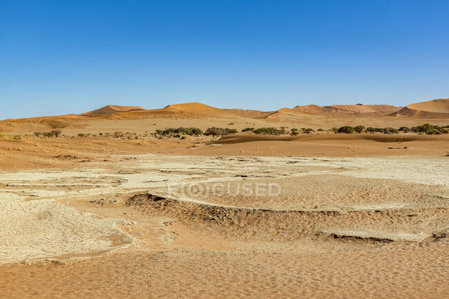 Scenic view of dead landscape of Namib Desert; Namibia — Stock Photo