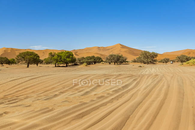 Sossusvlei, desierto de Namib, parque nacional de Namib-Naukluft; Namibia - foto de stock