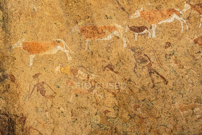 A pintura de pedra White Lady, Brandberg Mountain, Damaraland; Kunene Região, Namíbia — Fotografia de Stock