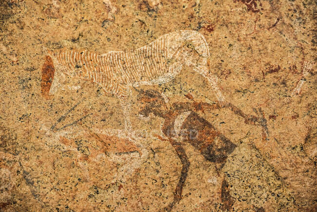 Peinture rupestre de la Dame Blanche, Montagne Brandberg, Damaraland ; Région de Kunene, Namibie — Photo de stock