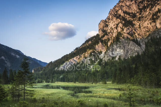 Montagnes alpines un soir d'été, surplombant un lac entouré de prairies verdoyantes ; Wildalpen, Landl, Autriche — Photo de stock