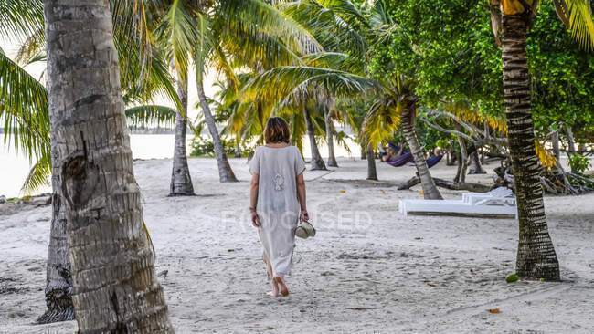 Una mujer madura caminando sobre la arena blanca entre las palmeras en una playa en el Caribe, Península de Placencia; Belice - foto de stock