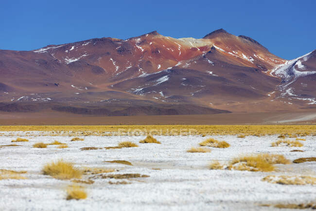 Salvador Dali Desert; Potosi, Bolivia — Stock Photo