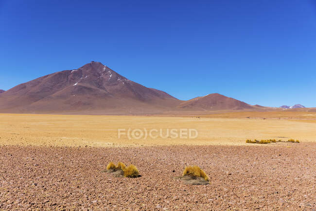 Сальвадор Далі Пустеля; Потосі (Болівія). — стокове фото