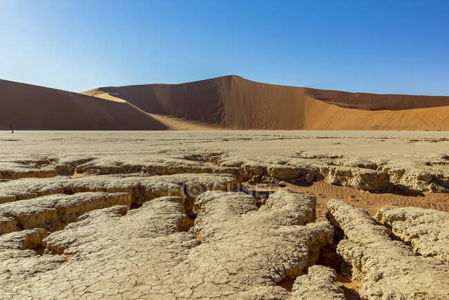 Vista panorâmica da paisagem morta do deserto da Namíbia; Namíbia — Fotografia de Stock