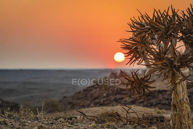 Восход солнца на курорте Хардап; регион Хардап, Нибия — стоковое фото
