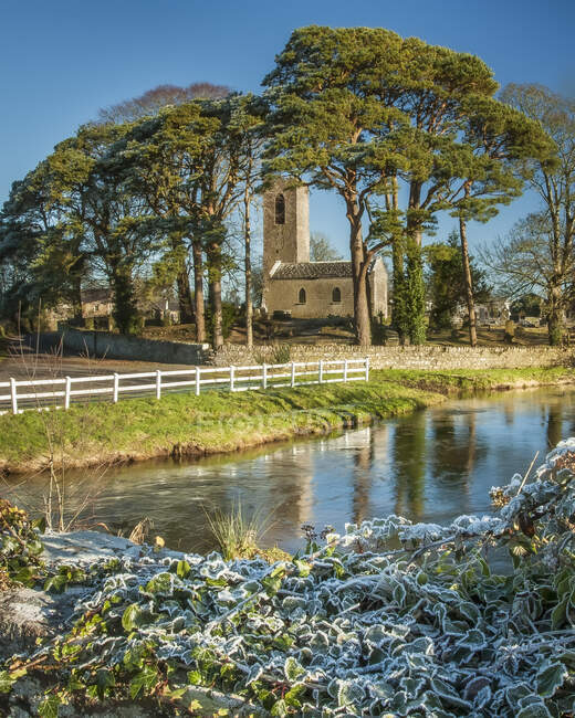 Shanrahan Church, an old church ruins framed by big trees covered in frost in the morning with a river in the foreground; County Tipperary, Ireland — Stock Photo