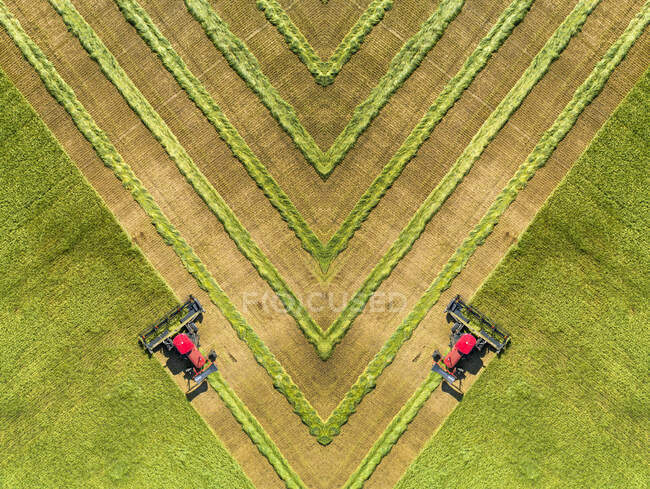 View from directly above of the mirror image of two swathers cutting a barley field with graphic harvest lines; Beiseker, Alberta, Canada — Stock Photo