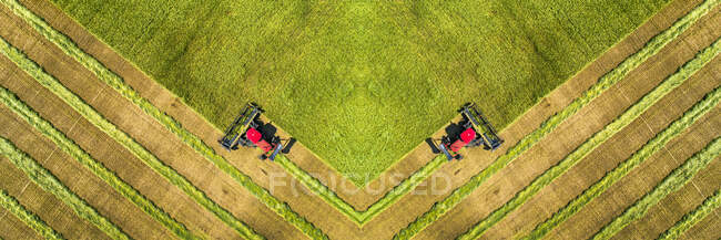 Vista dall'alto dell'immagine speculare di due swathers che tagliano un campo di orzo con linee di raccolta grafica; Beiseker, Alberta, Canada — Foto stock
