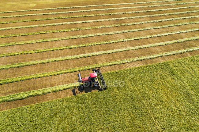 Vista aérea de um swather cortando um campo de cevada com linhas gráficas da colheita; Beiseker, Alberta, Canadá — Fotografia de Stock