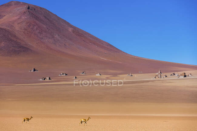 Пустыня Сальвадор Дали; Потоси, Боливия — стоковое фото
