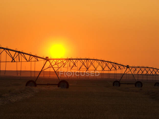 Agricultura - Sistema de irrigação central pivô silhueta ao nascer do sol em um campo de feno. Alberta, Canadá. — Fotografia de Stock