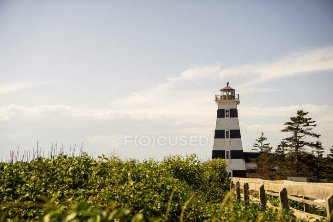 Faro de rayas blancas y negras en la costa; Isla Príncipe Eduardo, Canadá - foto de stock