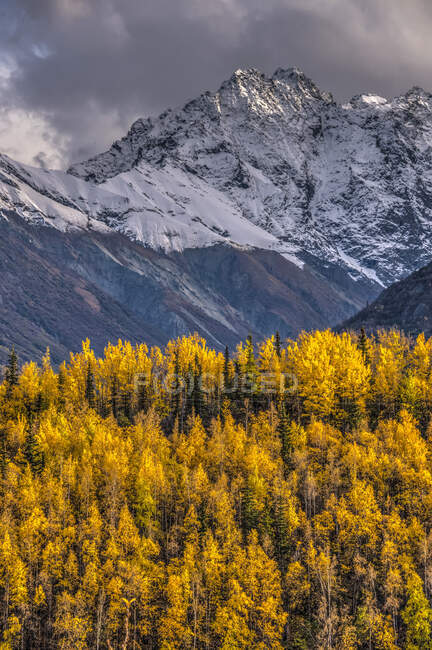 Colori autunnali sulle montagne Chugach; Alaska, Stati Uniti d'America — Foto stock