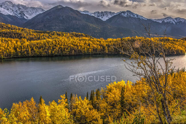 Herbstliche Farben in den Chugach Mountains; Alaska, Vereinigte Staaten von Amerika — Stockfoto