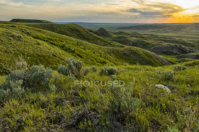 Lumière de fin d'après-midi illuminant les collines et les prairies du parc national des Prairies ; Val Marie, Saskatchewan, Canada — Photo de stock