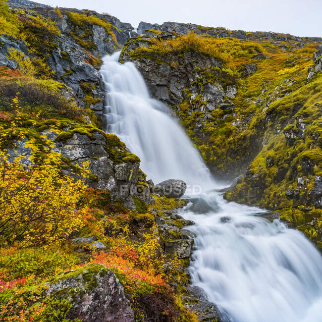 Une cascade coulant sur une falaise rocheuse couverte de mousse ; Sudavik, Westfjords, Islande — Photo de stock