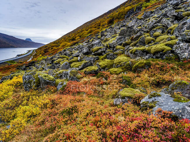 Bunte Tundra am Hang entlang des Alftafjorour-Fjords; Sudavik, Westfjordregion, Island — Stockfoto