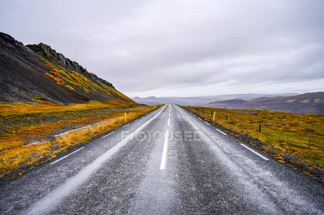 Road leading into the distance lined by autumn coloured tundra; Reykolahreppur, Westfjords, Iceland — Stock Photo
