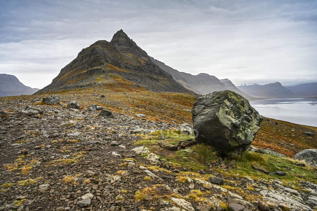 Paisagem acidentada com líquen colorido na costa e montanhas de pico ao longo dos fiordes; Sudavik, Westfjords, Islândia — Fotografia de Stock