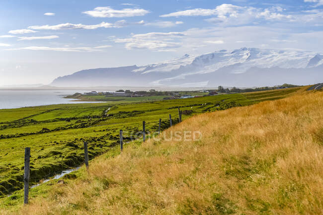 Terres agricoles luxuriantes le long de la côte de Hornafjorour dans l'est de l'Islande ; Région orientale, Islande — Photo de stock