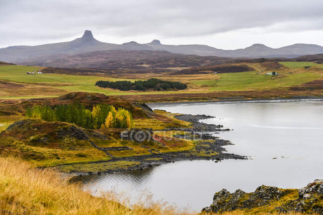 Paisaje con colores otoñales; Reykholahreppur, Westfjords, Islandia - foto de stock