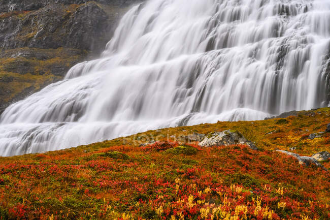 Dynjandi (auch bekannt als Fjallfoss) Reihe von Wasserfällen in den Westfjorden, Island. — Stockfoto