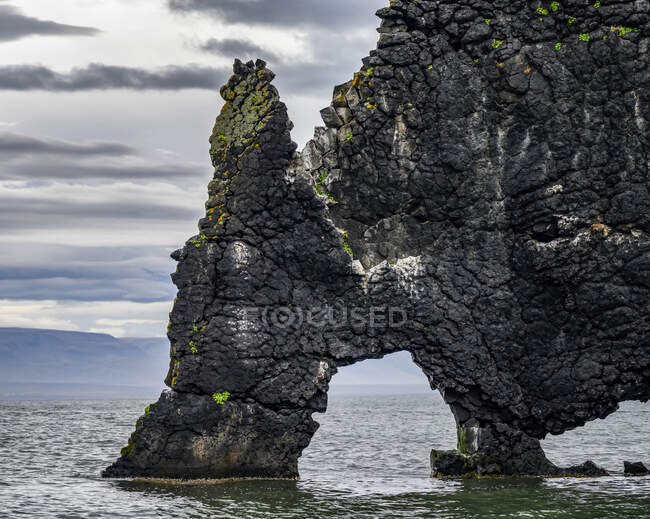 Hvitserkur pila de basalto de 15 m de altura a lo largo de la orilla oriental de la península de Vatnsnes, en el noroeste de Islandia. Hunaping vestra, Región Noroeste, Islandés - foto de stock