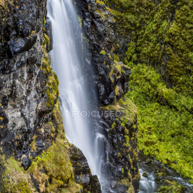 Cascata del Glymur in Islanda, con una cascata di 198 metri; Hvalfjardarsveit, Regione Capitale, Islanda — Foto stock