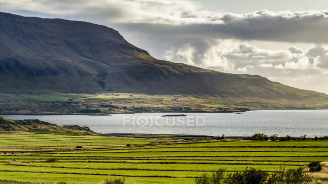 Côte tranquille avec un soleil chaud et des champs agricoles luxuriants ; Kjosarhreppur, région de la capitale, Islande — Photo de stock