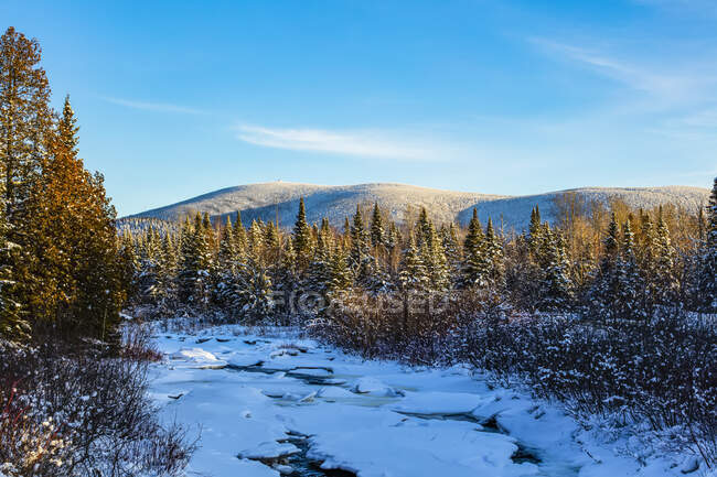 Parco Nazionale Mont-Megantic; Val Racine, Quebec, Canada — Foto stock
