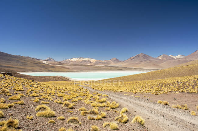 Route de gravier menant à une lagune de haute altitude au milieu d'un paysage sud-américain coloré dans les Andes, réserve nationale de faune andine Eduardo Avaroa ; Potosi, Sur Lipez, Bolivie — Photo de stock