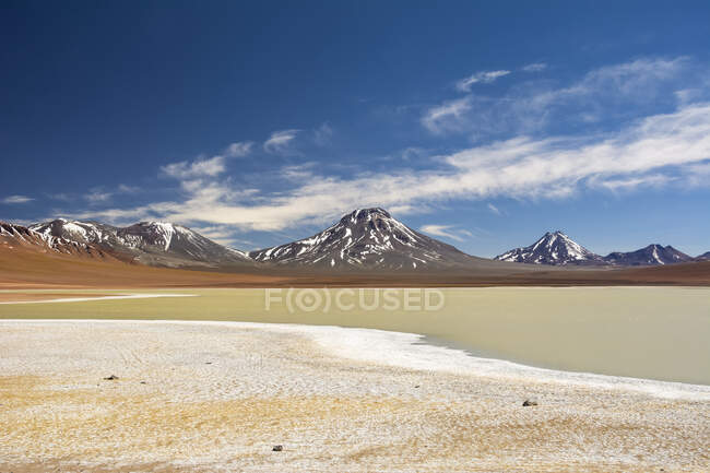 High altitude laguna (lake) in the Andes; San Pedro de Atacama, Atacama, Chile — Stock Photo