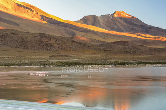 Sol saliendo sobre una laguna boliviana iluminando la montaña en el fondo en rojo. Flamencos todavía dormidos en la superficie del agua; Potosí, Sur Lupiz, Bolivia - foto de stock