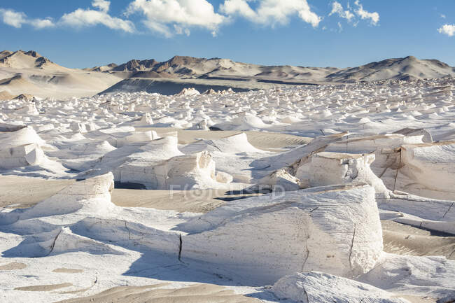 Campo de pómez blanco enorme brilla a la luz del sol; Antofagasta de la Sierra, Catamarca, Argentina - foto de stock