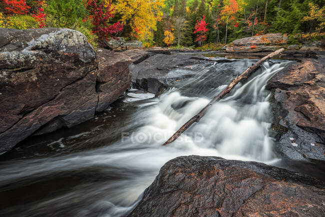 Agua del río York que fluye sobre cascadas durante el otoño en el Parque Provincial Algonquin; Ontario, Canadá - foto de stock