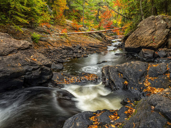 Осенью вода из реки Йорк течет над водопадами в провинциальном парке Алгонкин; Онтарио, Канада — стоковое фото