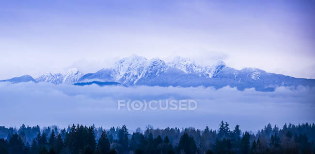 Vista de montañas cubiertas de nieve y nubes bajas sobre un bosque, vista desde Surrey, BC; Surrey, Columbia Británica, Canadá - foto de stock