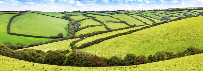 Panorama de retazos montañosos de campos verdes bordeados por árboles y arbustos con cielo azul y nubes; Condado de Cornwall, Inglaterra - foto de stock
