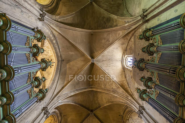 Techo abovedado y órgano Ducroquet / Cavaille-Coll de la Catedral de Aix-en-Provence (Cathedrale Saint-Sauveur d 'Aix-en-Provence); Aix-en-Provence, Provence, Francia - foto de stock