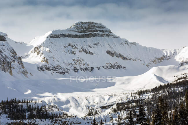 Nahaufnahme eines schneebedeckten Berggipfels mit Gletscher und nebelblauem Himmel, Banff National Park; Lake Louise, Alberta, Kanada — Stockfoto